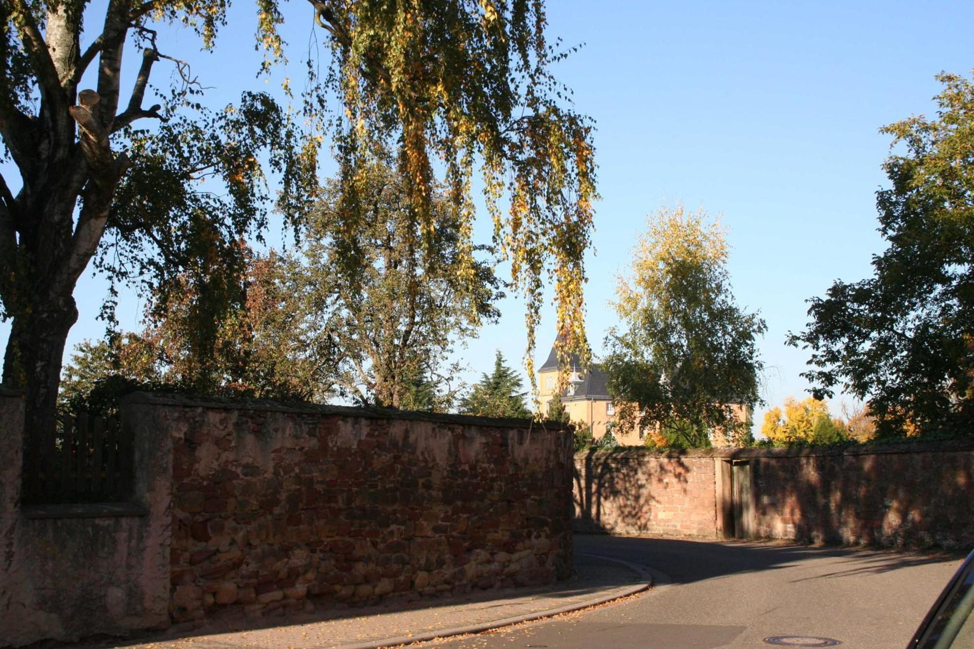 Ferienwohnung Spatzennest In Edesheim Esterno foto